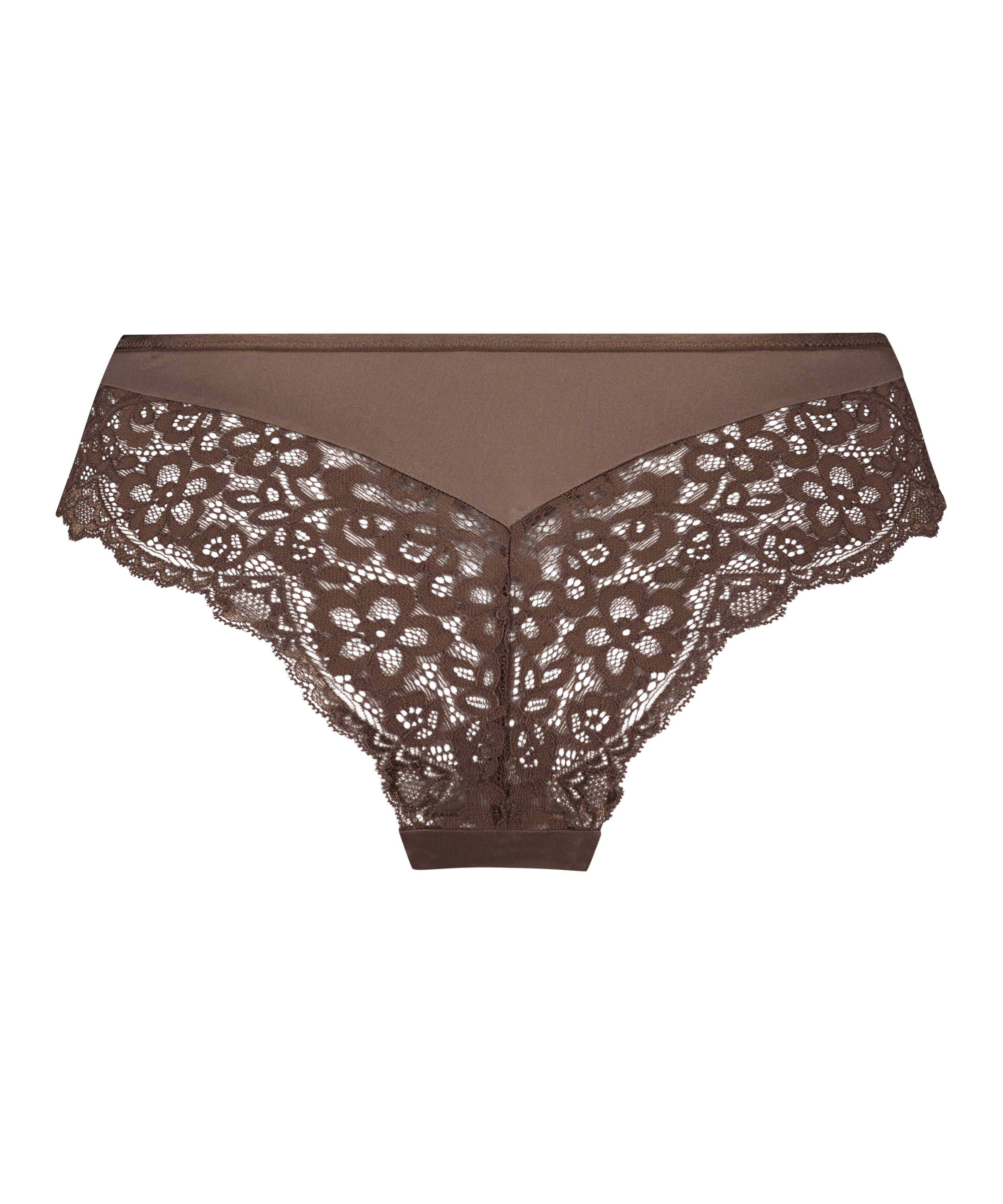 Brasiliansk truse Marine, Brun, main