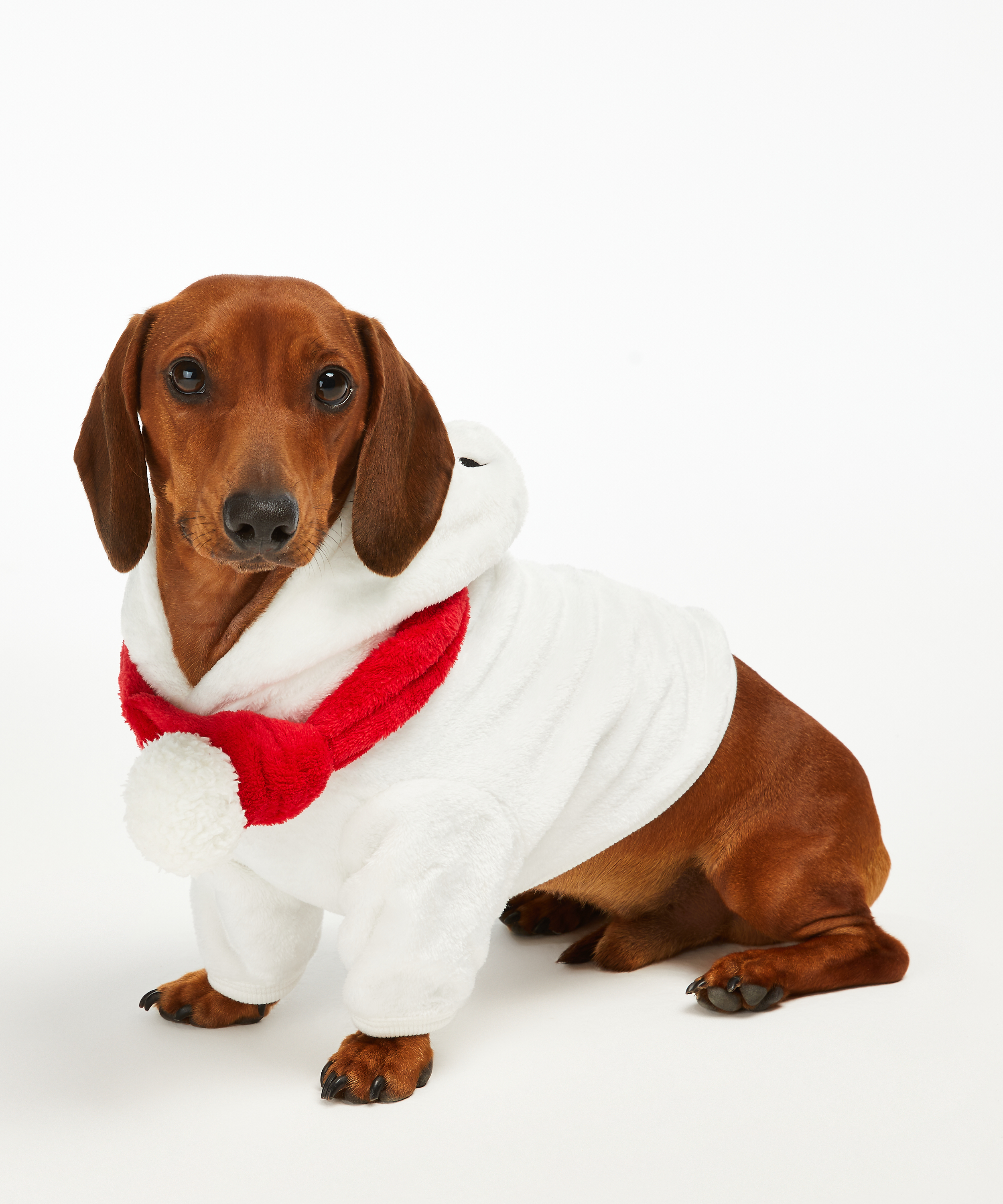 Fleece hunde-onesie, Hvit, main