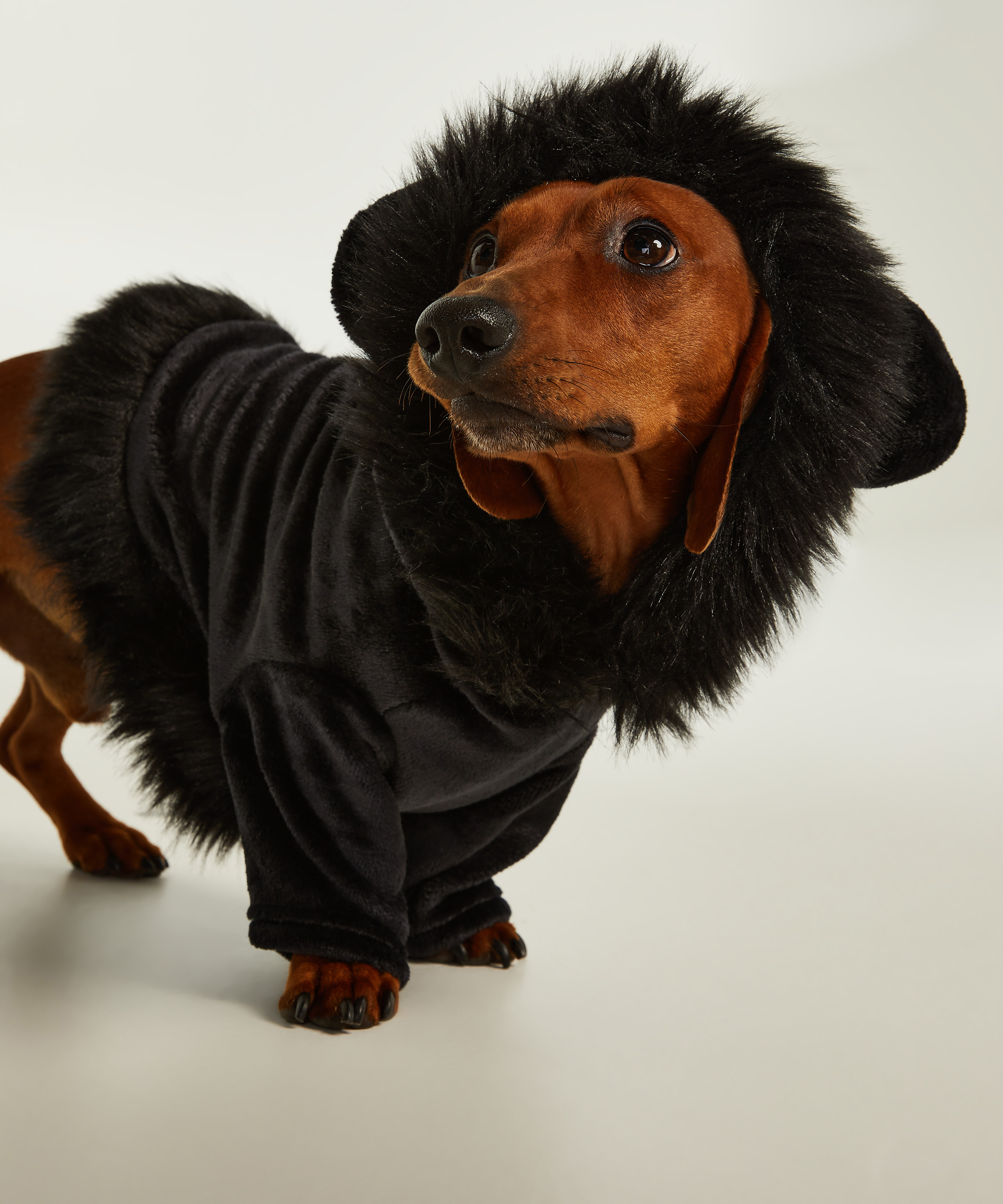 Hundeonesie i fleece Lucy Hale, Svart, main