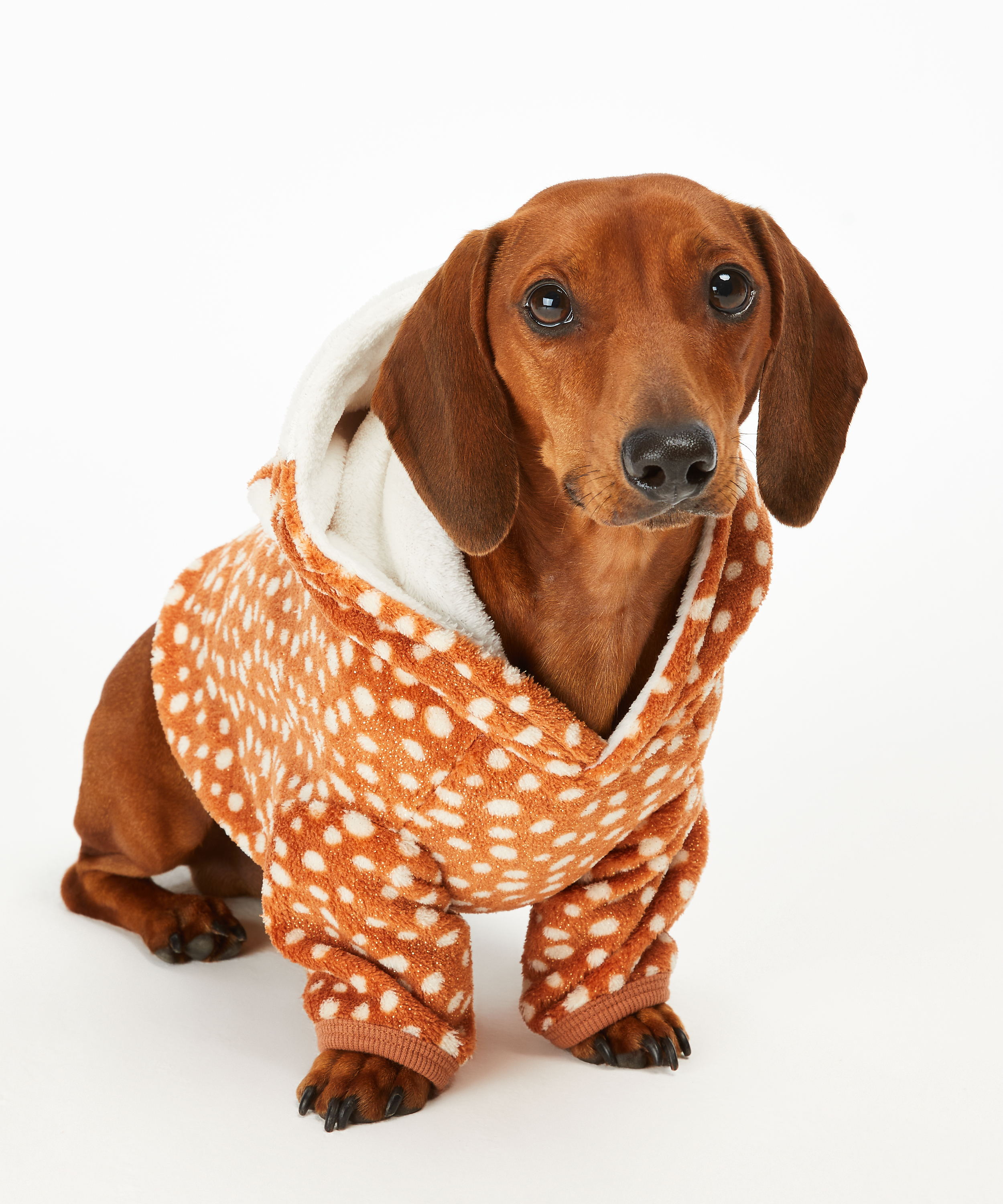 Fleece hunde-onesie, Brun, main