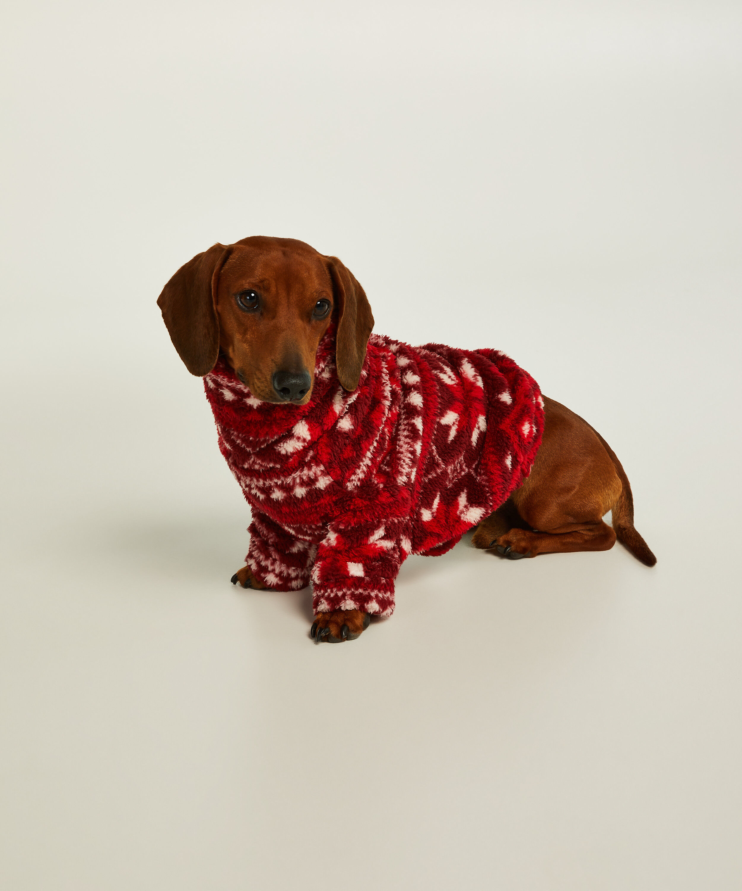 Hunde-onesie, R&oslash;d