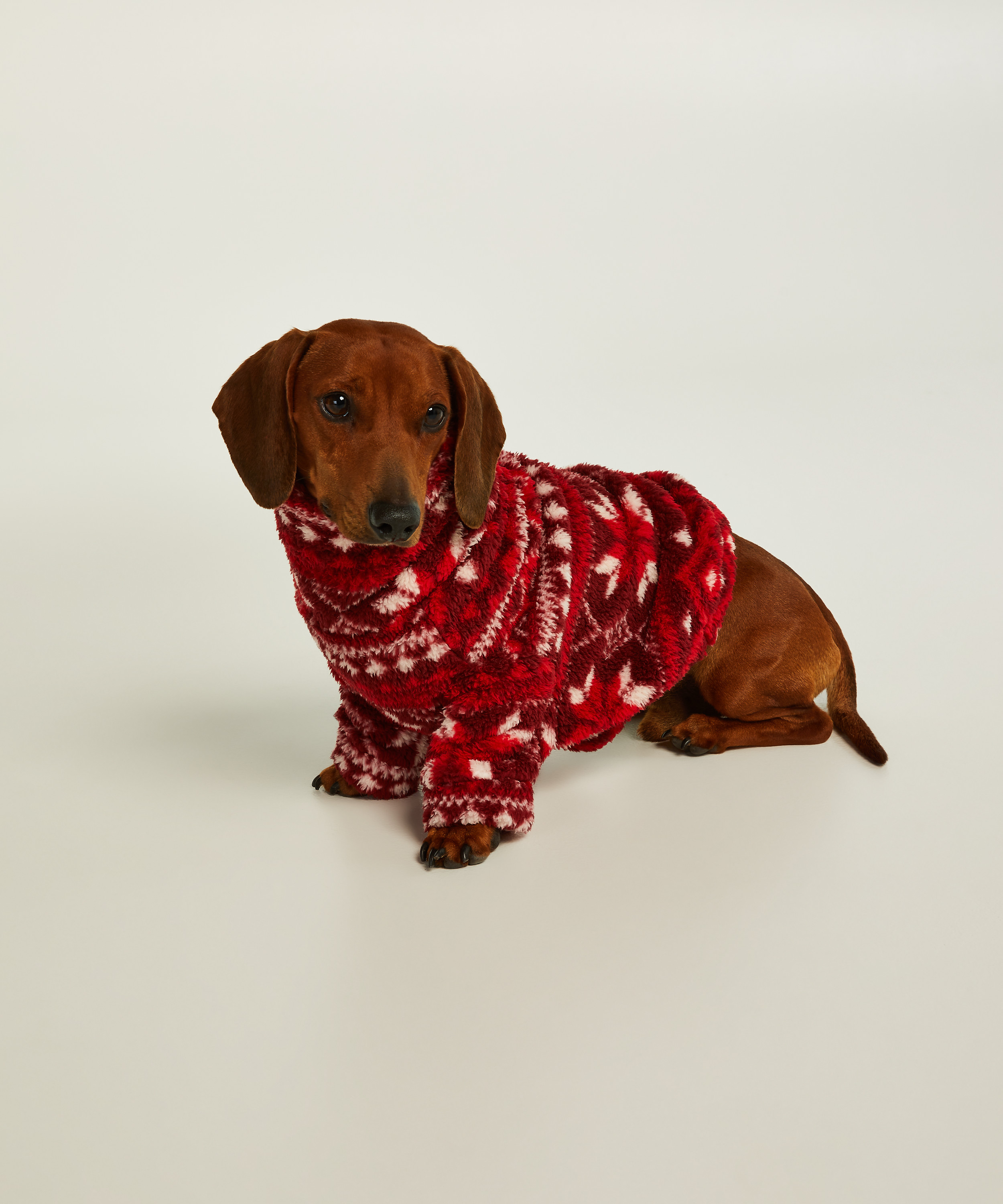 Hunde-onesie, Rød, main
